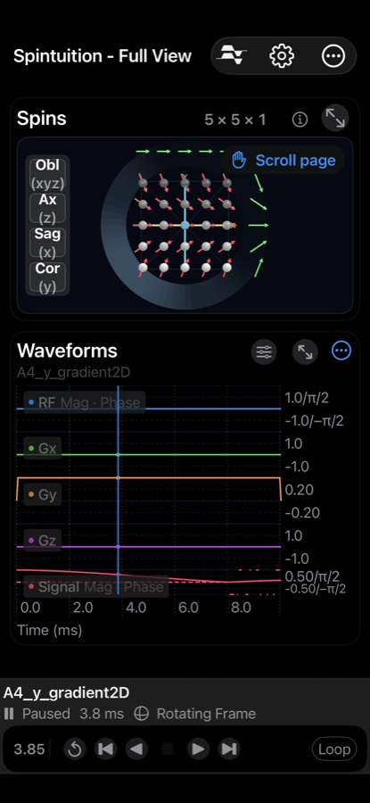 Full View with spins and waveforms for a y-gradient example