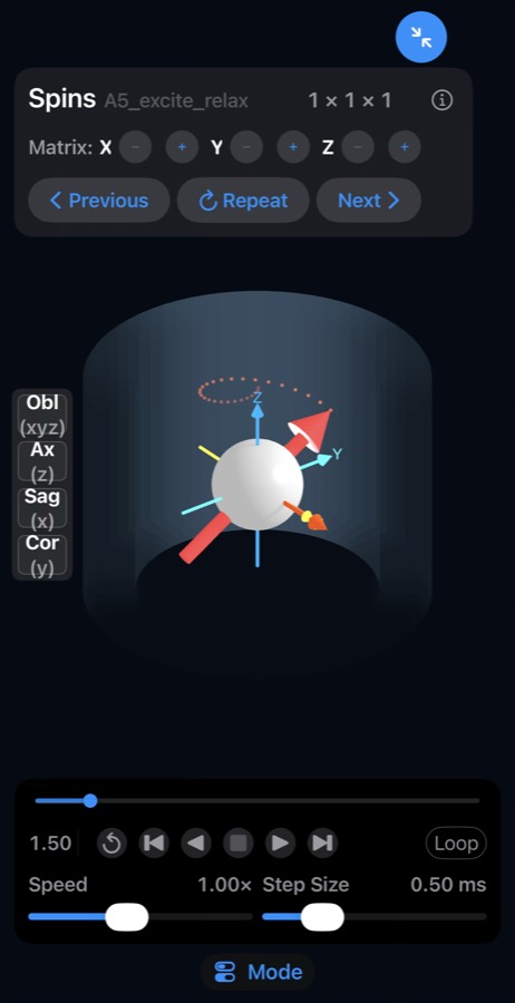 Expanded Spins view showing a single spin during excitation and relaxation